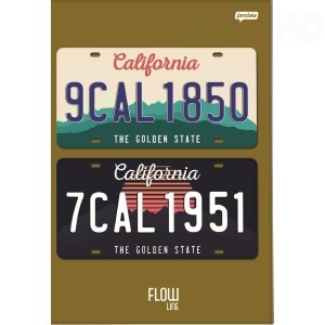 CADERNO BROCHURA CAPA DURA FLOW LINE 60 FOLHAS JANDAIA